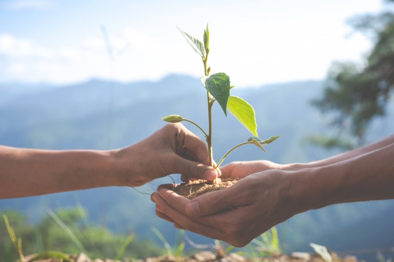 Licenciamento Ambiental (CETESB / SVMA)